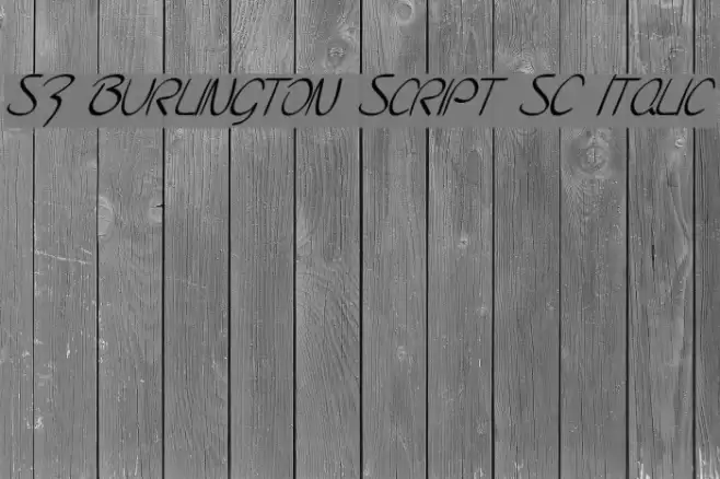 SF Burlington Script SC Italic Font examples