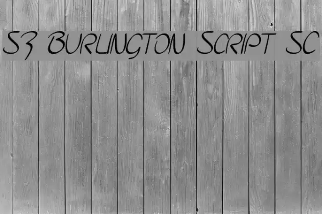 SF Burlington Script SC Font examples