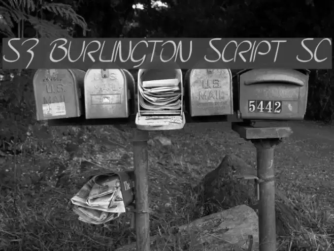 SF Burlington Script SC Font examples