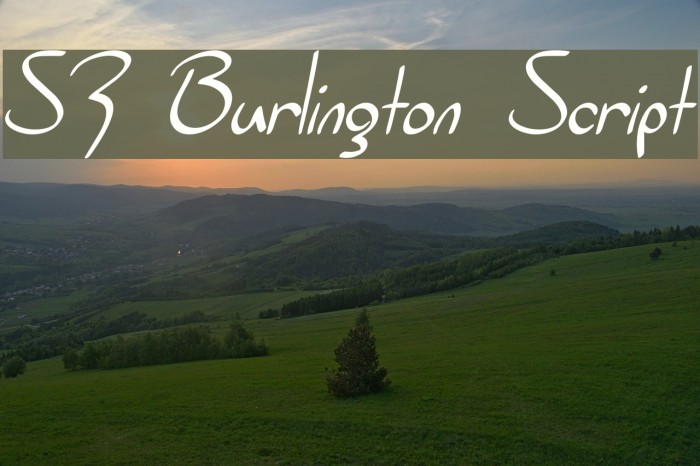 SF Burlington Script Font examples