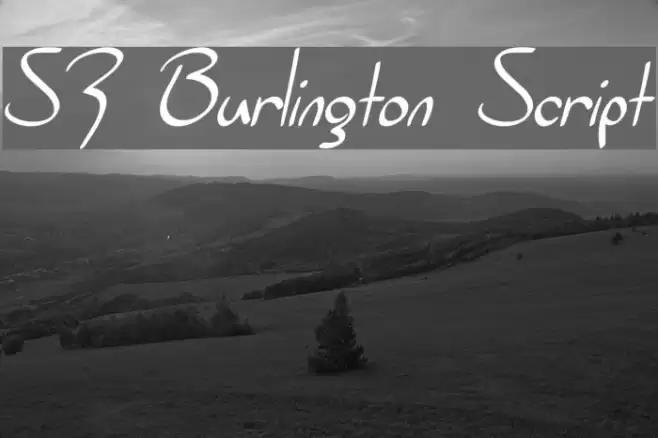 SF Burlington Script Font examples
