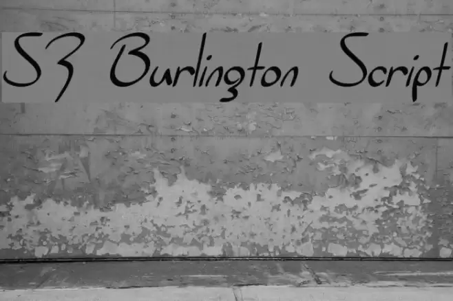 SF Burlington Script Font examples