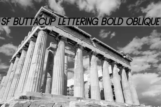 SF Buttacup Lettering Bold Oblique フォント examples