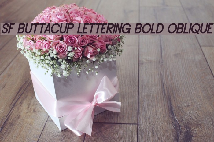 SF Buttacup Lettering Bold Oblique Font examples