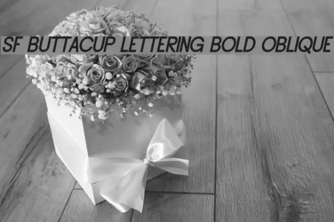 SF Buttacup Lettering Bold Oblique フォント examples