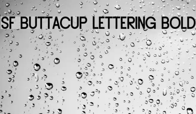 SF Buttacup Lettering Bold Font examples