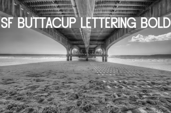 SF Buttacup Lettering Bold Font examples
