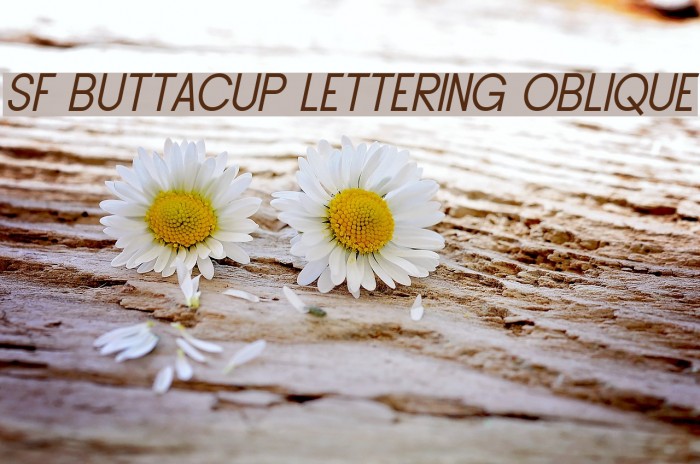 SF Buttacup Lettering Oblique Font examples