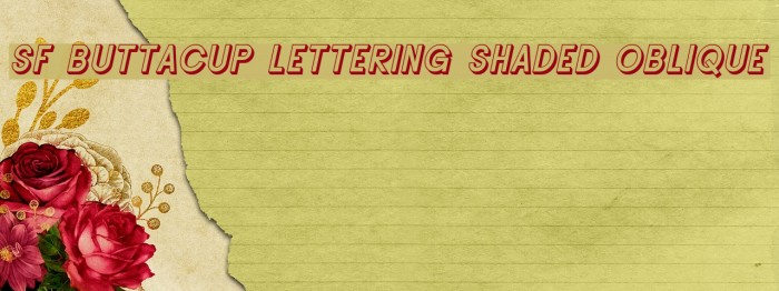 SF Buttacup Lettering Shaded Oblique Font examples