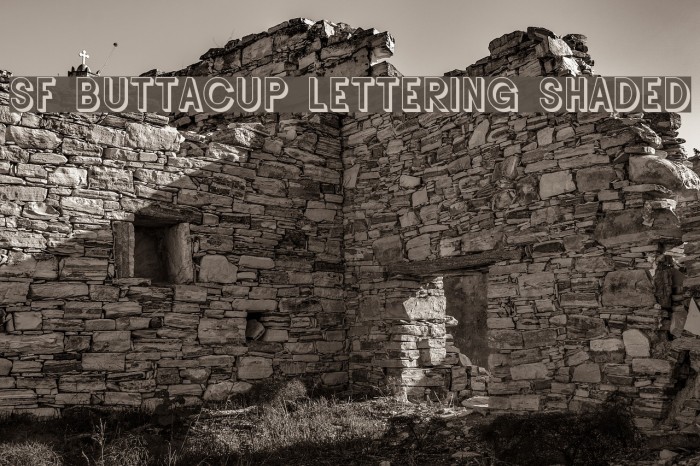 SF Buttacup Lettering Shaded Font examples