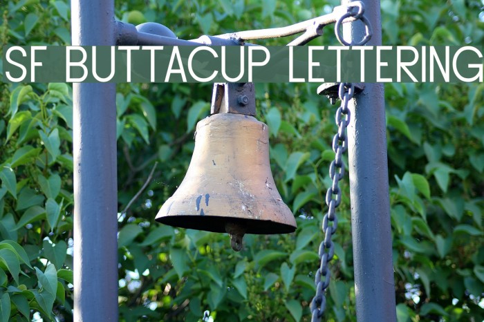 SF Buttacup Lettering Font examples