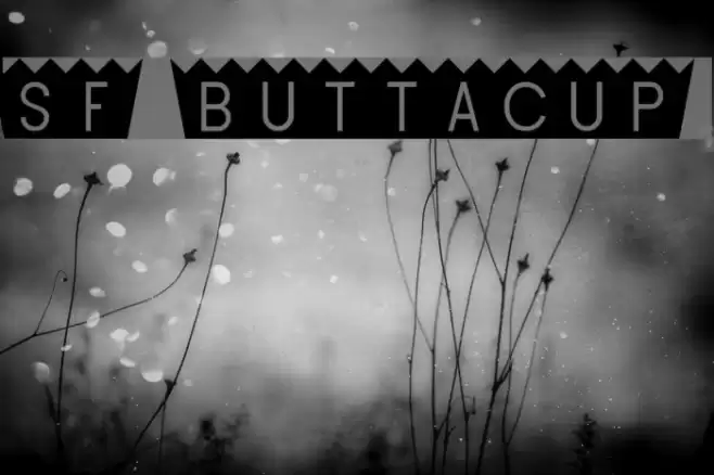 SF Buttacup Font examples