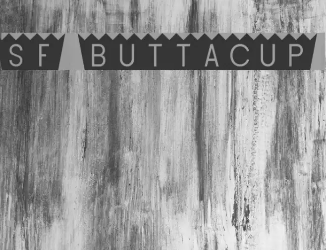 SF Buttacup Font examples