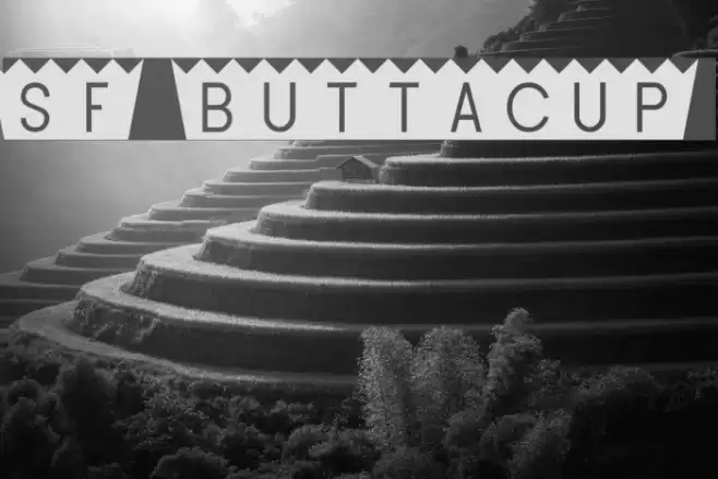 SF Buttacup Font examples