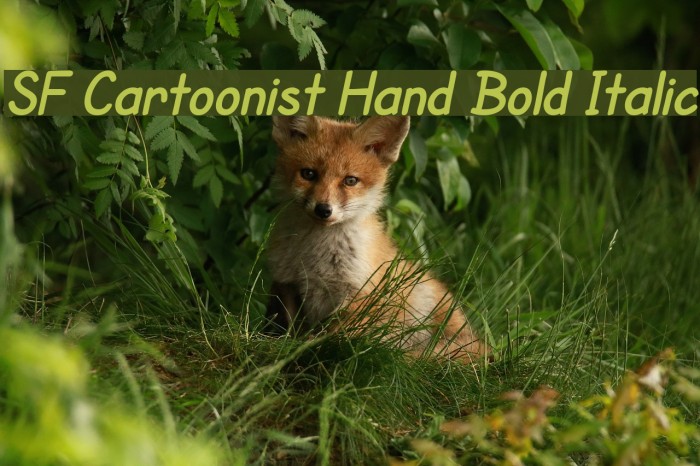 SF Cartoonist Hand Bold Italic Font examples