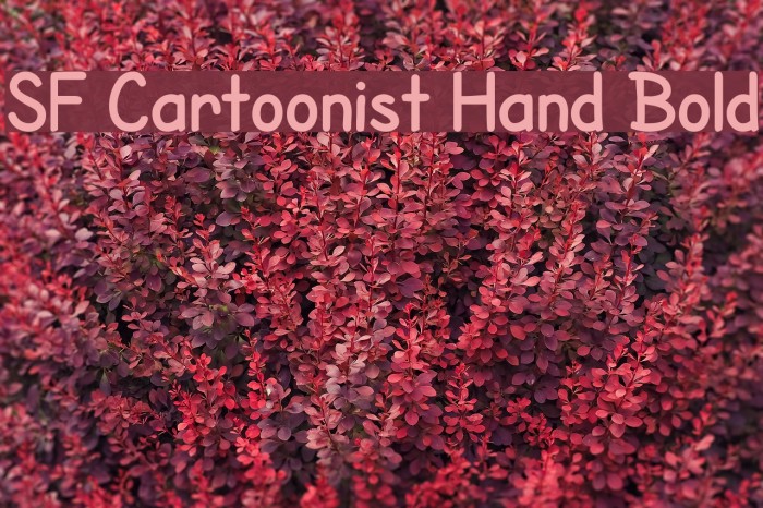 SF Cartoonist Hand Bold Font examples