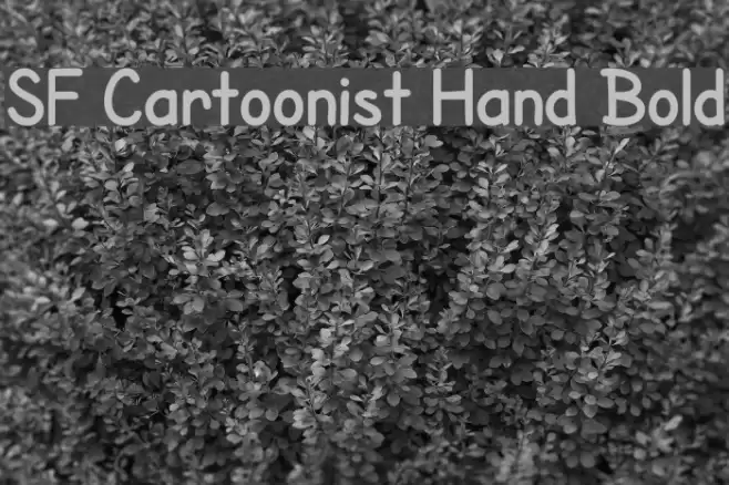 SF Cartoonist Hand Bold Font examples