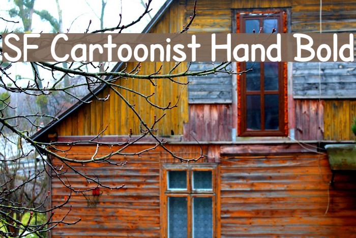 SF Cartoonist Hand Bold Font examples