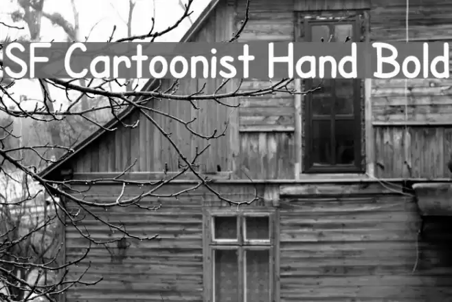 SF Cartoonist Hand Bold Font examples