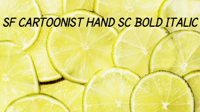 SF Cartoonist Hand SC Bold Italic Font examples