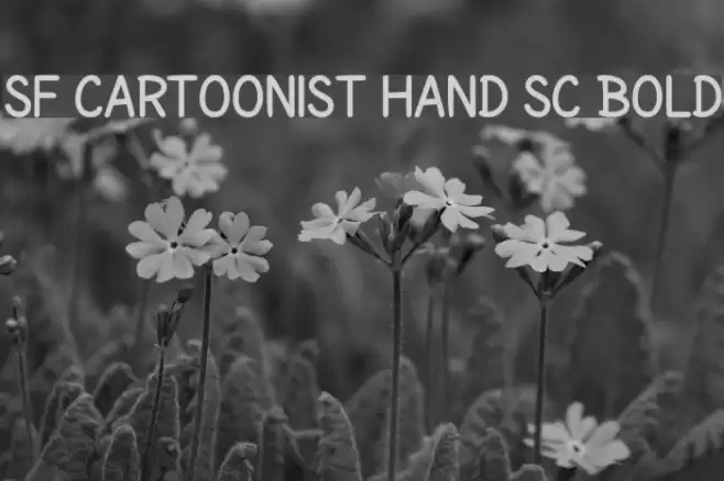 SF Cartoonist Hand SC Bold Caratteri examples