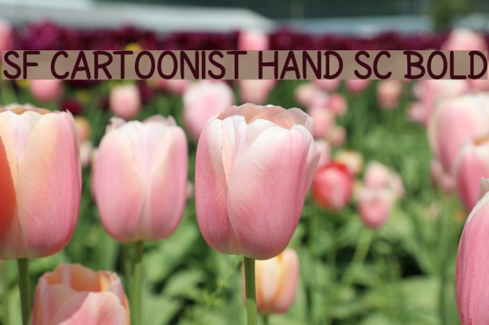 SF Cartoonist Hand SC Bold Font examples