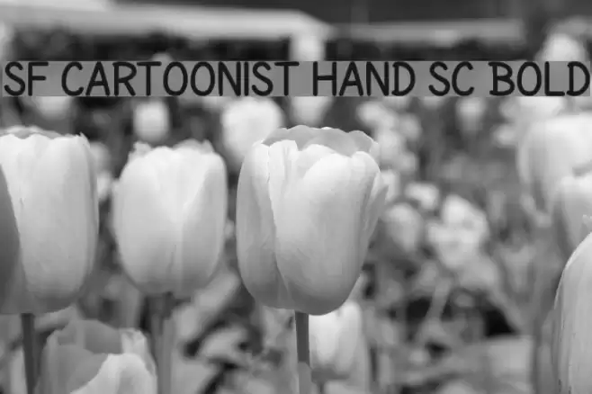 SF Cartoonist Hand SC Bold Caratteri examples
