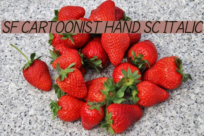SF Cartoonist Hand SC Italic Font examples