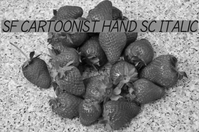 SF Cartoonist Hand SC Italic Font examples