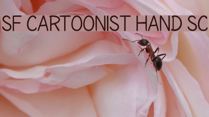 SF Cartoonist Hand SC Font examples
