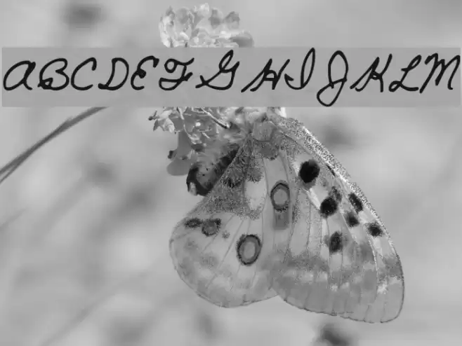 SF-Cecilys Font examples