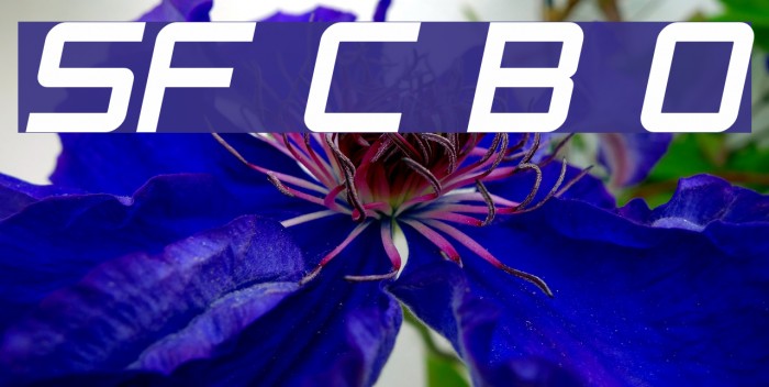 SF Chaerilidae Bold Oblique Font examples