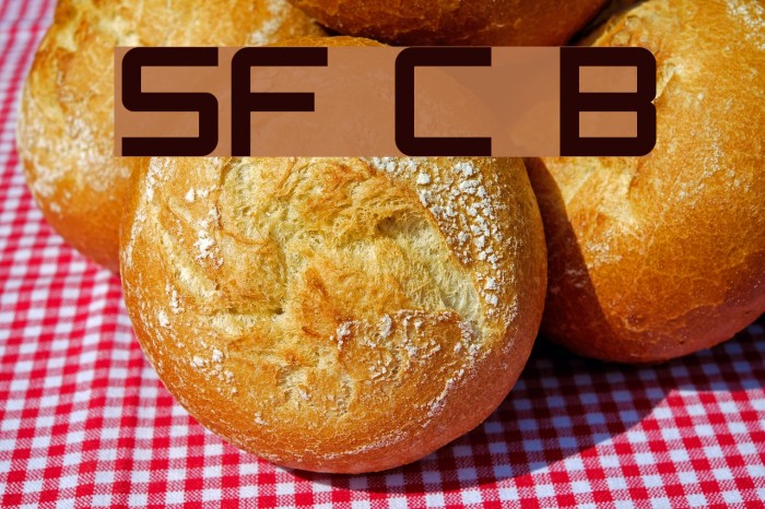 SF Chaerilidae Bold Font examples