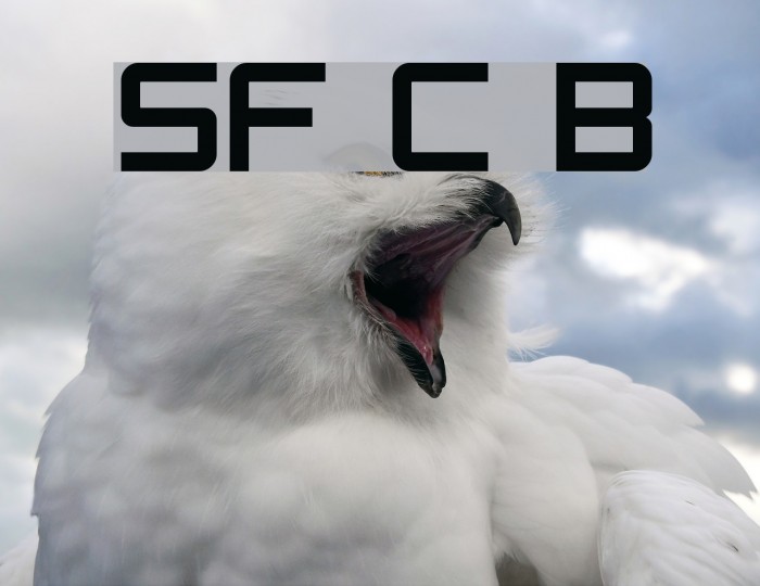 SF Chaerilidae Bold Font examples