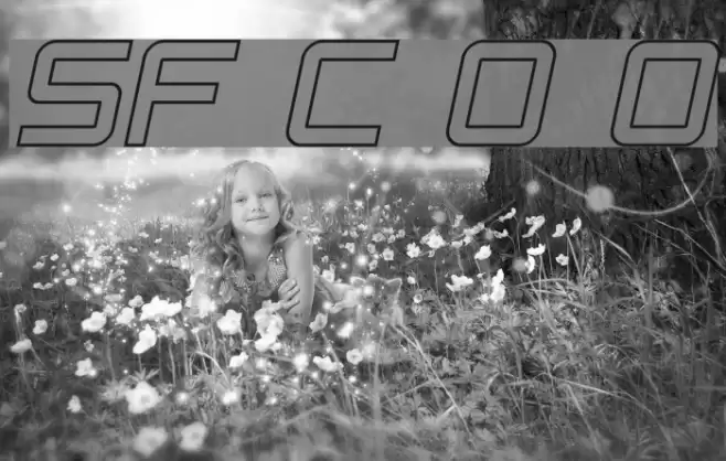 SF Chaerilidae Outline Oblique Font examples