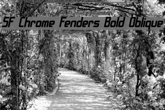SF Chrome Fenders Bold Oblique Font examples
