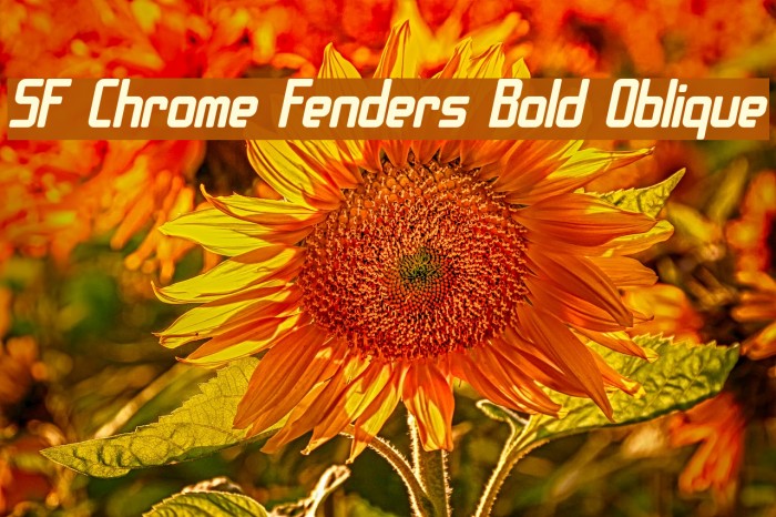 SF Chrome Fenders Bold Oblique Font examples