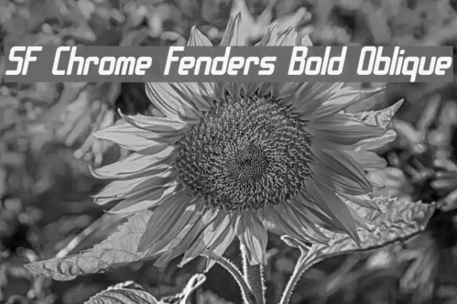 SF Chrome Fenders Bold Oblique Font examples