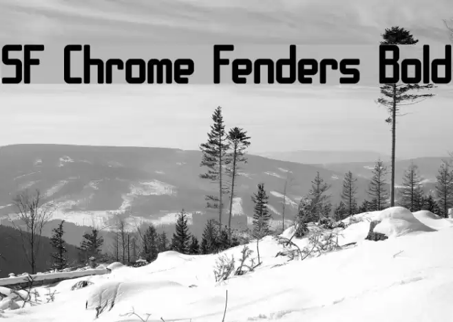 SF Chrome Fenders Bold Font examples