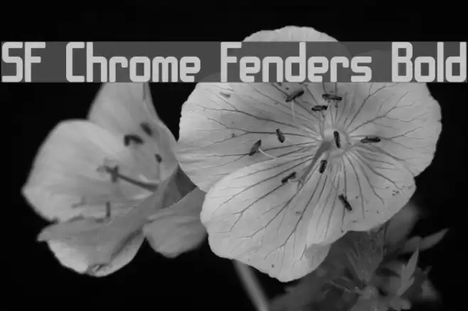 SF Chrome Fenders Bold Font examples