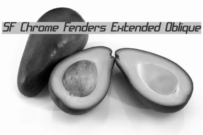 SF Chrome Fenders Extended Oblique Font examples