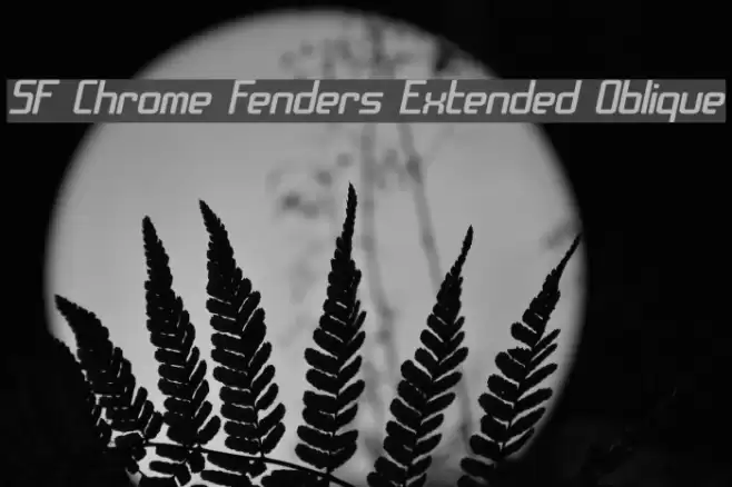 SF Chrome Fenders Extended Oblique Font examples