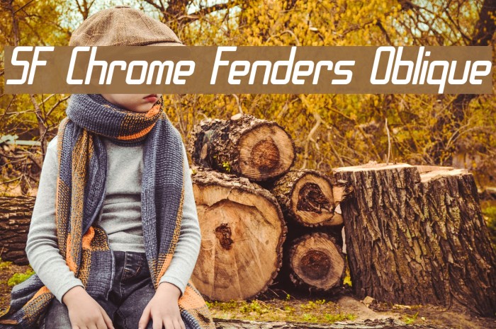 SF Chrome Fenders Oblique Font examples