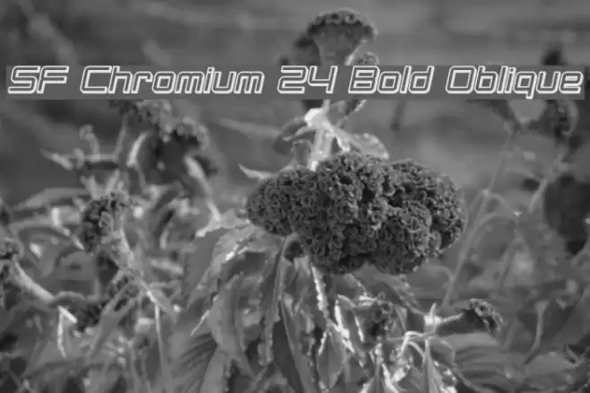 SF Chromium 24 Bold Oblique Font examples