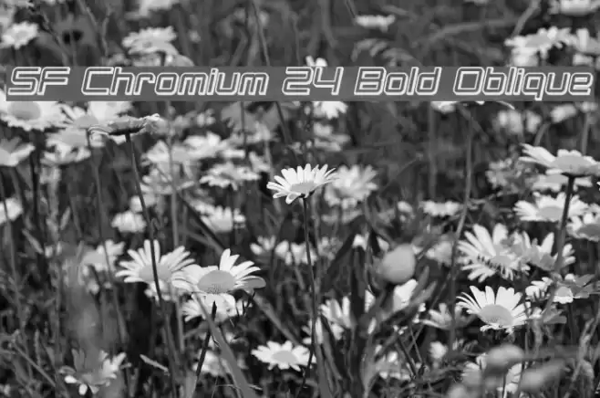 SF Chromium 24 Bold Oblique Font examples