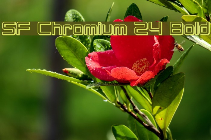 SF Chromium 24 Bold Font examples