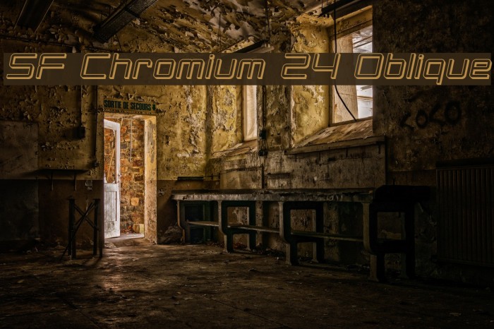 SF Chromium 24 Oblique Font examples