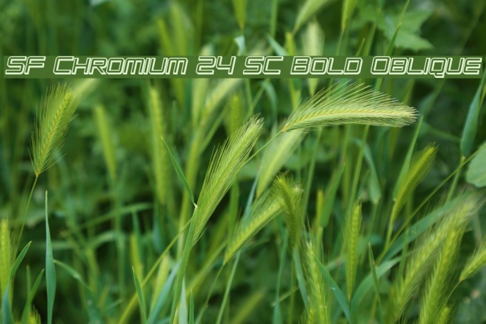 SF Chromium 24 SC Bold Oblique Font examples
