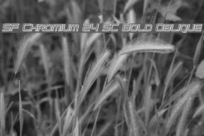 SF Chromium 24 SC Bold Oblique Font examples