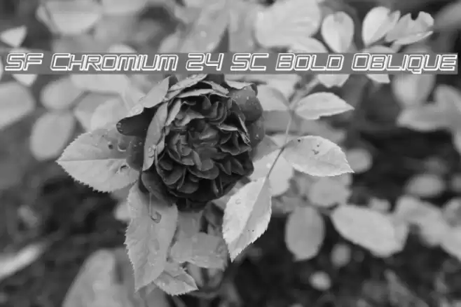 SF Chromium 24 SC Bold Oblique Font examples